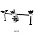 trinocular microscope